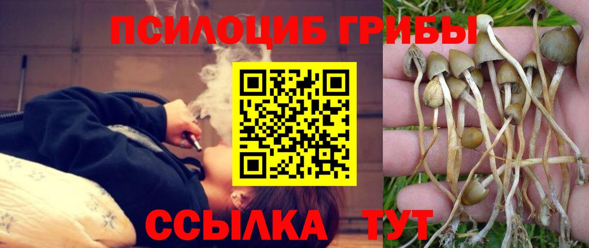 Нефтекамск  Галлюциногенные грибы Psilocybine cubensis  закладка  Вход с VPN  Псилоцибиновые грибы прущие грибы 